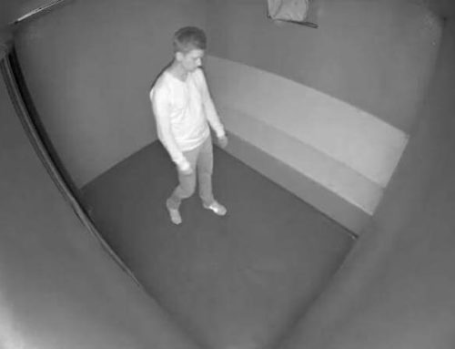 IR Cameras